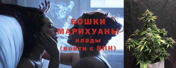 первитин Гусь-Хрустальный