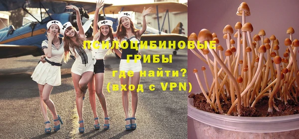 винт Гусев