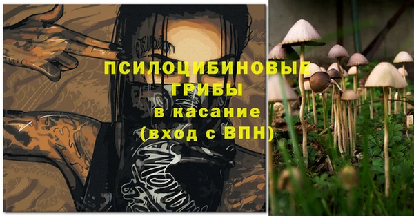 молекула духа Гусиноозёрск