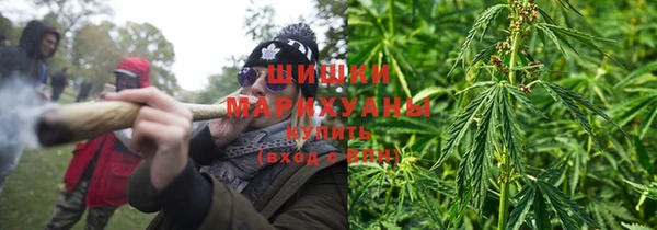 молекула духа Гусиноозёрск