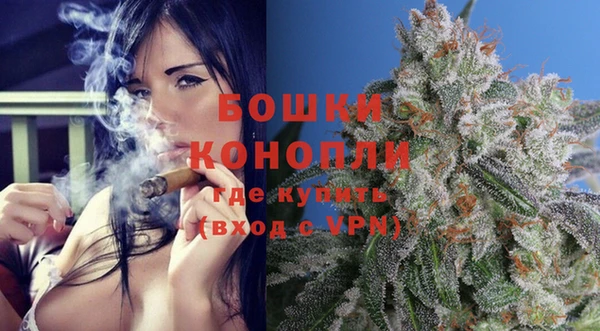 молекула духа Гусиноозёрск