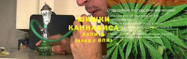 молекула духа Гусиноозёрск