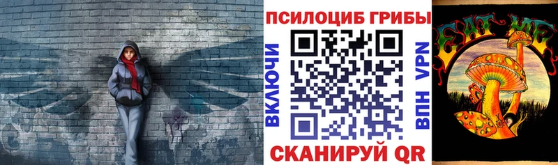 Купить где  Палласовка  Галлюциногенные грибы мицелий 